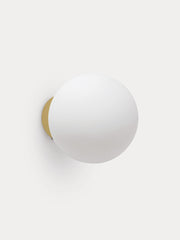Burton Ball