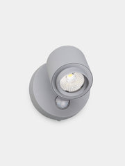 Felix Single with Sensor - Silver